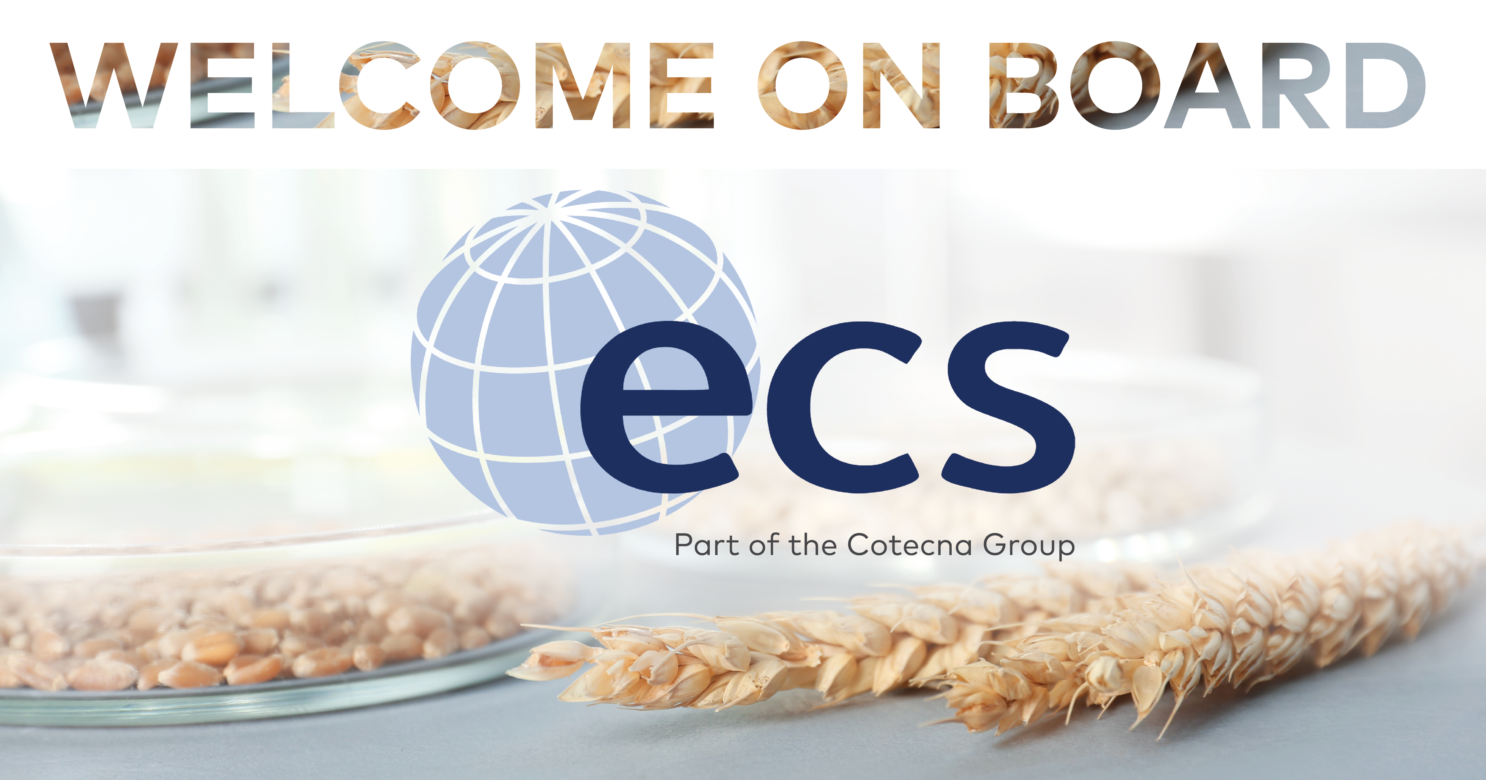 ecs-facebook